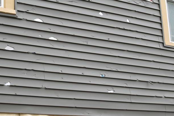 Best Shed Removal  in Noel, MO