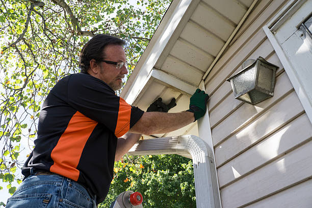 Best Shed Removal  in Noel, MO